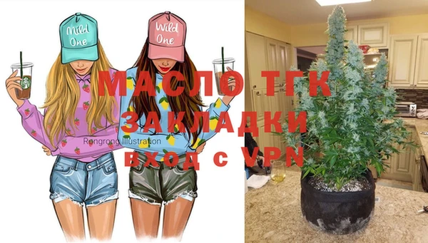 крисы Белоозёрский