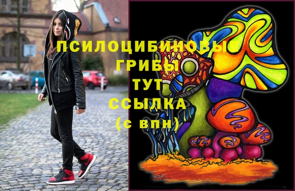 крисы Белоозёрский
