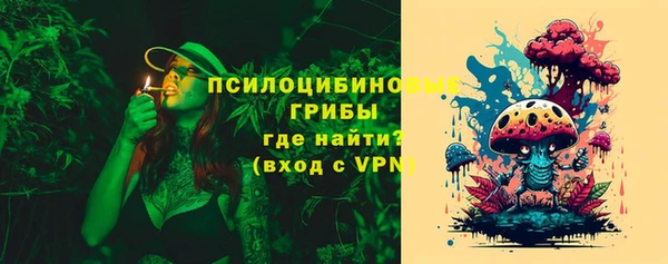 наркотики Белокуриха