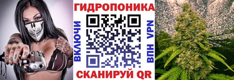 Бошки марихуана AK-47  blacksprut сайт  Ворсма 